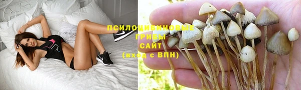 марихуана Магадан