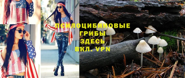 прущая мука Магас