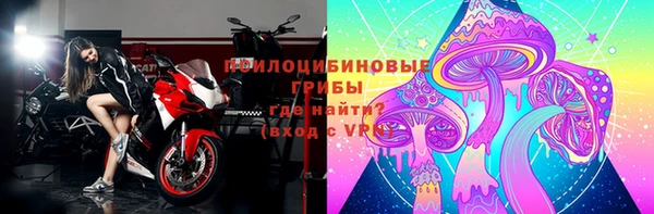 стаф Майский