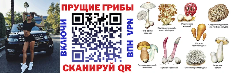 Псилоцибиновые грибы прущие грибы  Старый Крым 